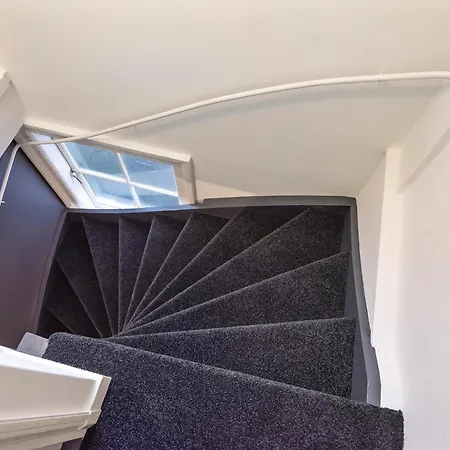 Spaarne Luxury ハーレム