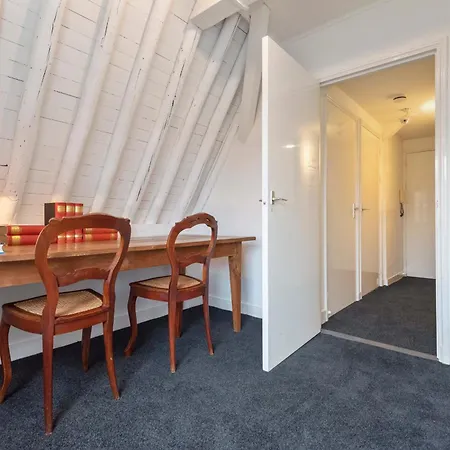 Spaarne Luxury アパート *